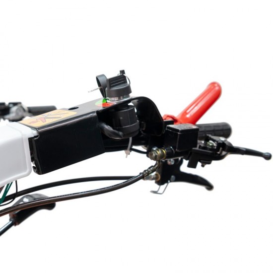 Motocultivator RURIS 1077 S + freza de sapat SX77 16 CP