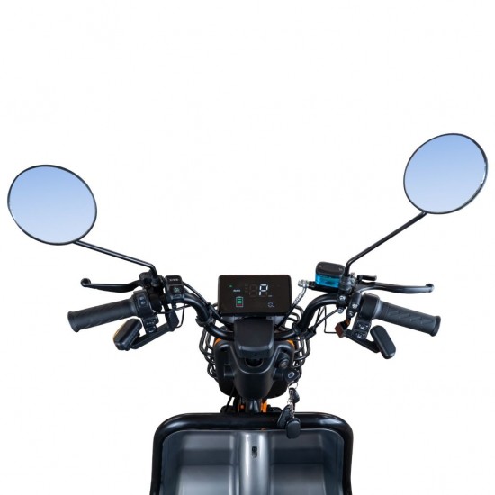 Triciclu electric RURIS Pilot 3040G