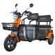 Triciclu electric RURIS Pilot 3040G