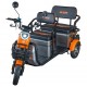 Triciclu electric RURIS Pilot 3040G
