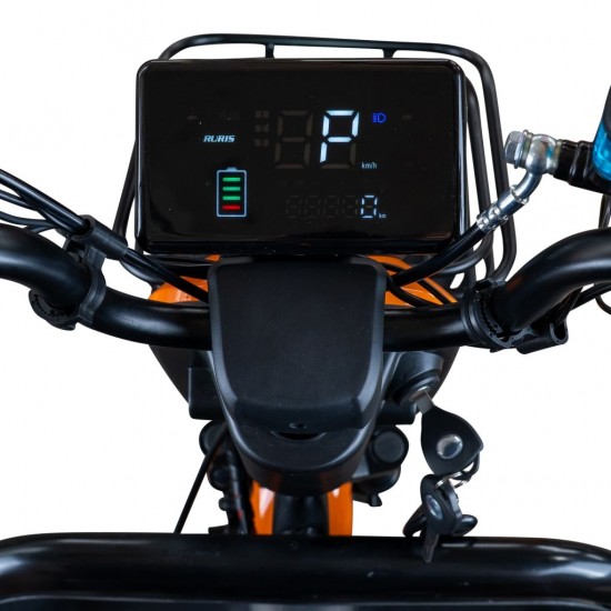 Triciclu electric RURIS Pilot 3040G