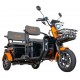 Triciclu electric RURIS Pilot 3040N Triciclu electric RURIS Pilot 3040N