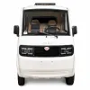 Triciclu electric pick-up RURIS PILOT 5000SA PURE WHITE, putere maxima 4900 W, autonomie pana la 130 km, cu volan, viteza maxima de 25 km/h, fara permis