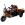 VEHICULE ELECTRICE