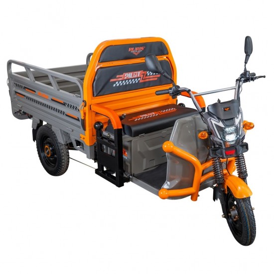 Triciclu Electric Cargo RURIS Pilot 3120G, 2000W, 72V 45Ah, Autonomie 70 km, Gri, viteza maxima de 25 km/h, conform reglementarilor UE, fara permis, gri