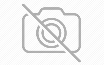 IWELD Gorilla Pocketmig 215 Aluflux 2020