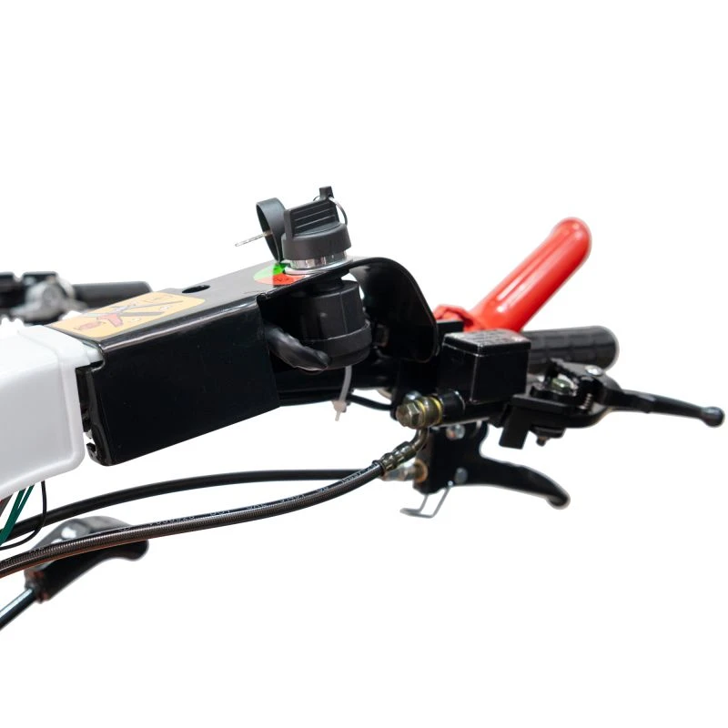 Motocultivator RURIS 1077 S + freza de sapat SX77 16 CP Motocultivator RURIS 1077 S + freza de sapat SX77 16 CP