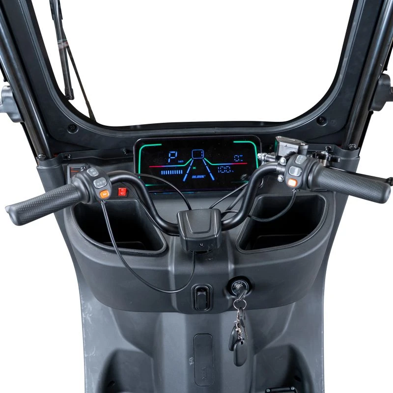 Triciclu electric Cargo RURIS PILOT 3070 G 2900 W