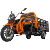 Triciclu Electric Cargo RURIS Pilot 3130N | 3600W, Autonomie 80 km, Capacitate 603 kg