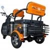 Triciclu electric RURIS Pilot 3040G Triciclu electric RURIS Pilot 3040G