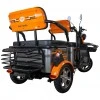 Triciclu electric RURIS Pilot 3040G Triciclu electric RURIS Pilot 3040G
