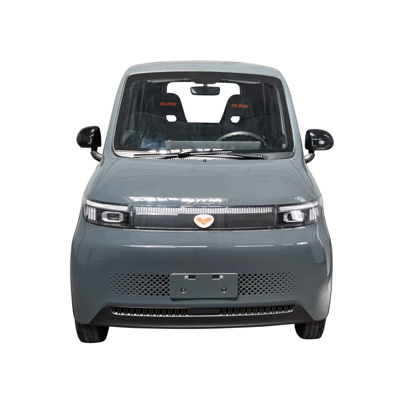 Masina electrica RURIS PILOT GT900A GRI, 4100W, autonomie 130 km, baterie 71V/100A, viteza maxima de 25 km/h, conform reglementarilor UE, fara permis, GRI