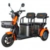 Triciclu electric RURIS Pilot 3020G Triciclu electric RURIS Pilot 3020G