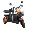 Triciclu electric RURIS Pilot 3020G Triciclu electric RURIS Pilot 3020G