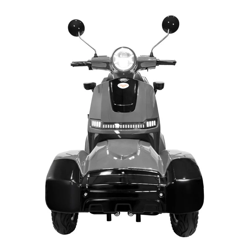 SCUTER ELECTRIC PILOT SX 100 G 1300 W