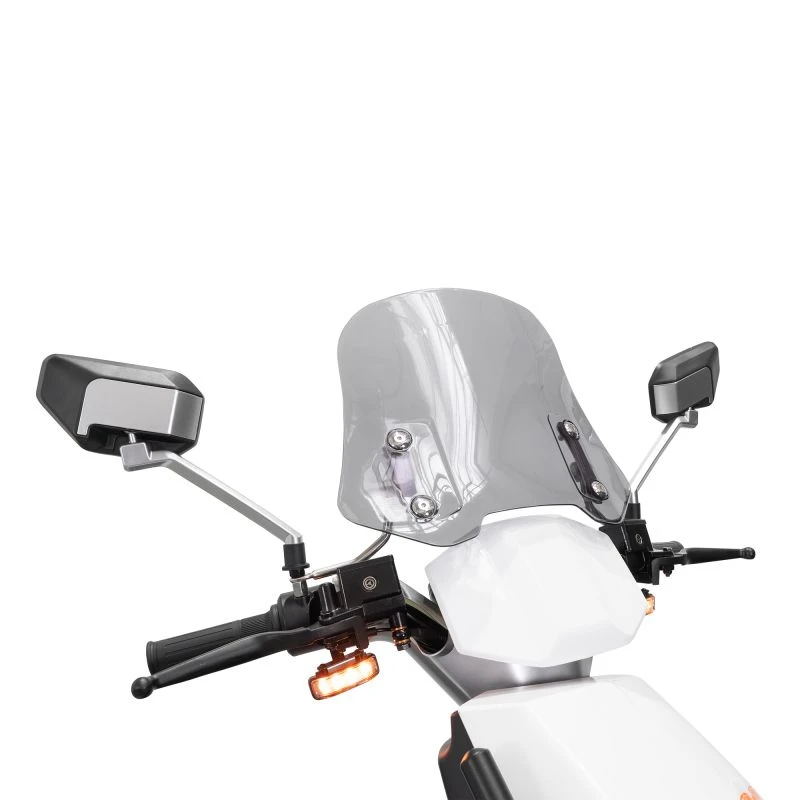 SCUTER ELECTRIC RURIS PILOT SX 710 ALB