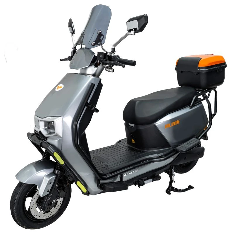 SCUTER ELECTRIC RURIS PILOT SX 710 GRI