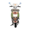 Scuter Electric RURIS Pilot SX790 Verde Bamboo Scuter Electric RURIS Pilot SX790 Verde Bamboo