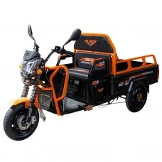 VEHICULE ELECTRICE