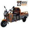 Triciclu Electric Cargo RURIS Pilot 3120G, 2000W, 72V 45Ah, Autonomie 70 km, Gri, viteza maxima de 25 km/h, conform reglementarilor UE, fara permis, gri Triciclu Electric Cargo RURIS Pilot 3120G, 2000W, 72V 45Ah, Autonomie 70 km, Gri, viteza maxima de 25 km/h, conform reglementarilor UE, fara permis, gri