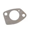 Garnitura carburator, RURIS, cod psfc190-1-36