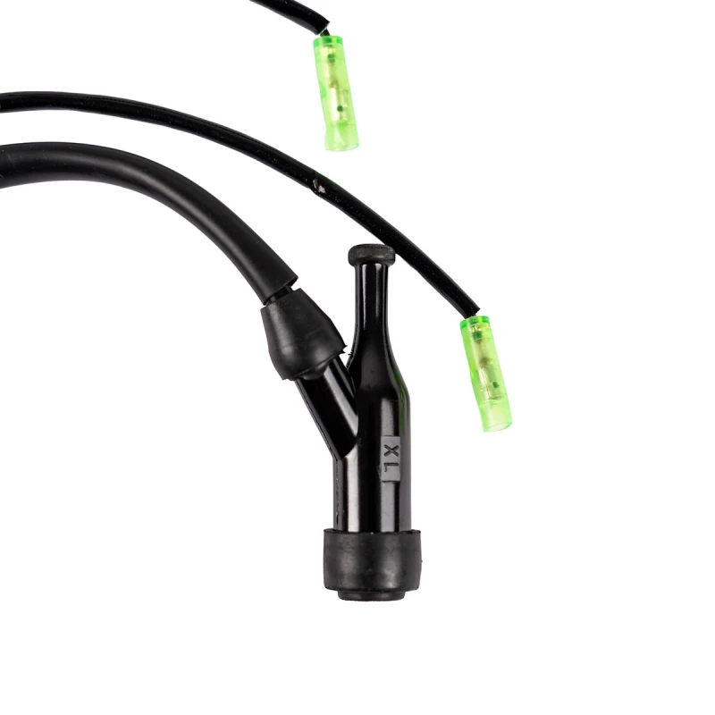 Modul aprindere, RURIS, cod ps168f-10-1