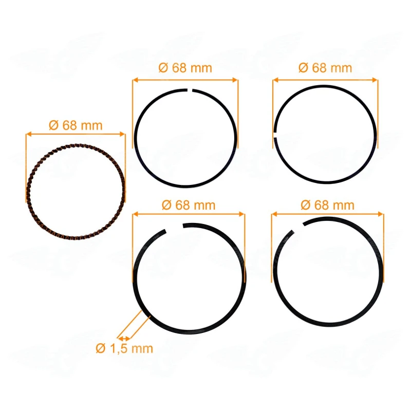 Segmenti, RURIS, cod ps168f-4-8
