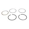 Segmenti, RURIS, cod ps168f-4-8