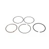 Set segmenti d70 g1 mm, RURIS, cod ps170f-4-8a