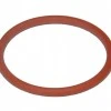 O-Ring Plasma PT100