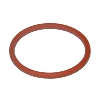 O-Ring Plasma PT100