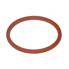 O-Ring Plasma PT100