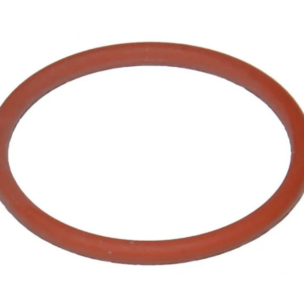 O-Ring Plasma PT100
