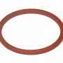 O-Ring Plasma PT100
