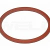 O-Ring Plasma PT40