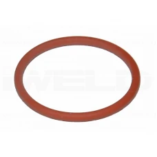 O-Ring Plasma PT40