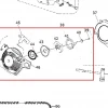 Ansamblu starter motoferastrau RURIS DAC 401S, pozitia 38 plansa 1