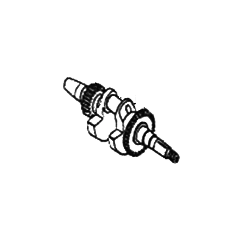 Arbore motor scarificator gazon RURIS RXH999, pozitia 6 plansa 11