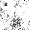Ax regulator RURIS 731FR motosapatoare, pozitia 24 plansa 5