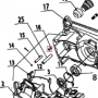 Bolt 6x9 motoferastrau DAC 456/506, pozitia A16, cod ps455-a16