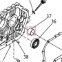 Cuzinet motosapa RURIS 650/651KSD, pozitia 37, cod ps173f-1-37