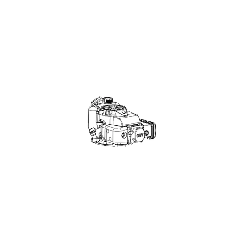 Motor pentru masina de tuns gazon RURIS DAC 100XL, pozitia 19 pe plansa masinii