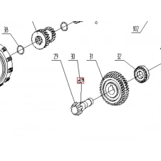 Pana motosapa RURIS 650/651KSD, pozitia 30, cod ps650ksd-6-30