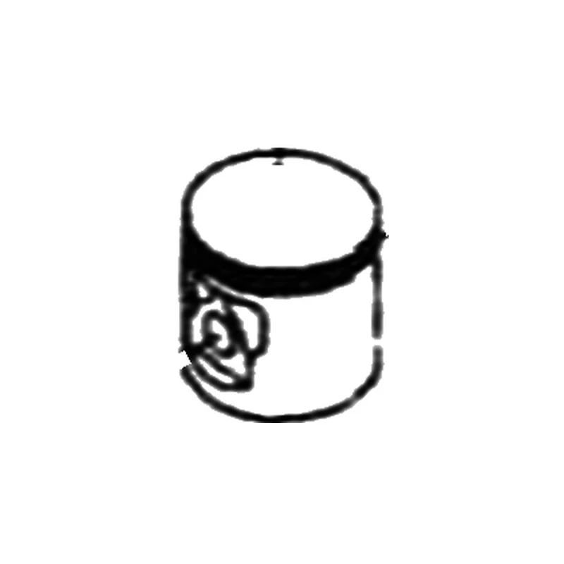 Piston motoburghiu RURIS TT10, pozitia 43 pe plansa