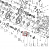 Roata dintata RURIS RXD 1700 masina defrisat, pozitia 15 plansa 2