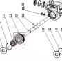 Roata dintata motosapa RURIS 5800R, pozitia 25, cod ps5800r-1-25