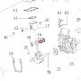 Rulment ace motoferastrau RURIS DAC 401S, plansa 2 pozitia 19, cod ps401s-2-19