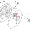 Rulment RURIS RXD 1700 masina defrisat, pozitia 9 plansa 11