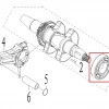 Rulment 6206 RURIS RXD 1700 masina defrisat, pozitia 3 plansa 12